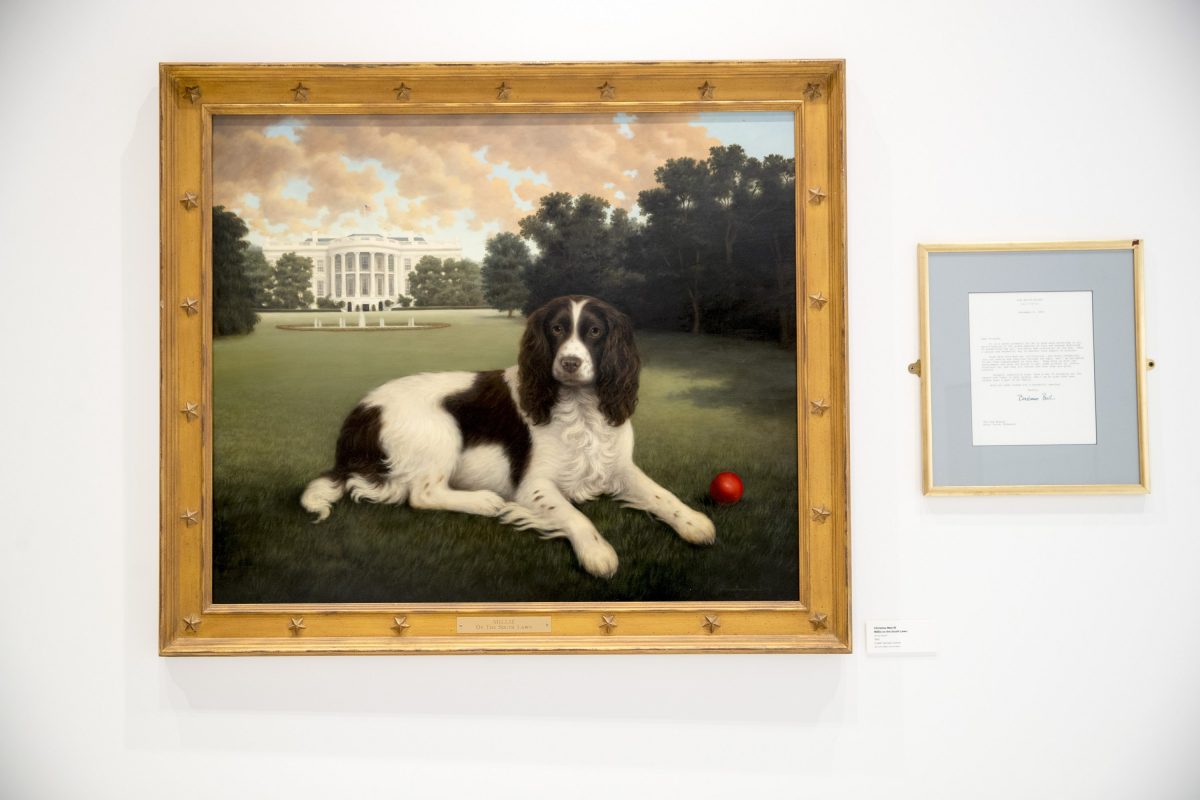 Millie on the South Lawn
