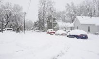 Snowstorm Churns Towards Washington, at Least Five Dead in US Midwest