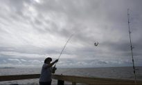 Recreational Fishing Rules to Be Overhauled Under New Law