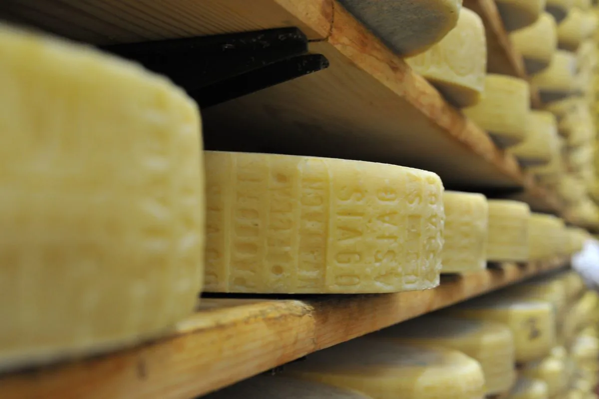 Wheels of Asiago age gracefully. (Roberto Costa Ebech)