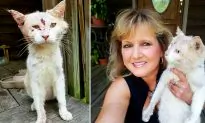 Woman Doesn’t Recognize Badly Abused Animal Is a Cat Until She Gets Near