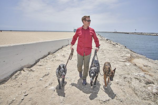 Franklin walking the dogs