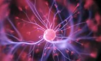 Chaos in Our Cells Keeps Immune System Running