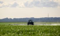 12 Reasons Why Even Low Levels of Glyphosate are Unsafe