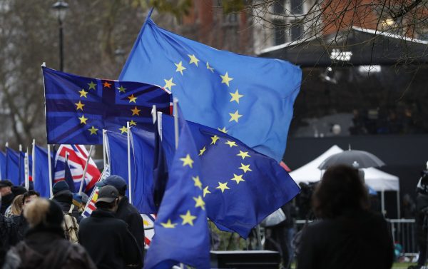 Anti Brexit protesters