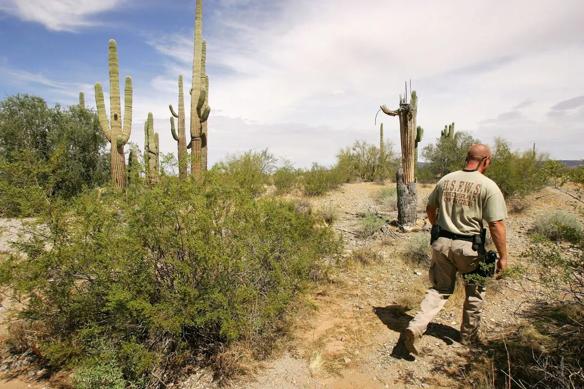 U.S. Fish and Wildlife Service officer Jeremy Bucher patrols the Cabeza Prieta National Wildlife Reserve near Ajo, Ariz., on March 27, 2006. (David McNew/Getty Images)