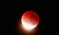 Stunning Blood Moon Eclipse Seen in Multiple Countries 2025