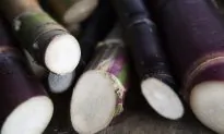 The Hawaiian Rum That’s Made From an Ancient Energy Drink