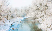A Berkshire Journal: The Many Sounds of Winter