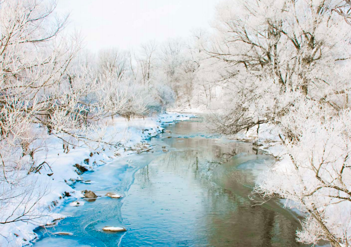 A winter landscape, still as it may look, is host to many different sounds.  (Heidi Brand/SHUTTERSTOCK)