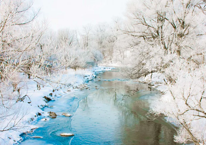 A winter landscape, still as it may look, is host to many different sounds. (Heidi Brand/SHUTTERSTOCK)