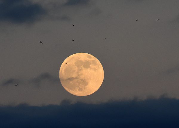 Epoch Times Photo