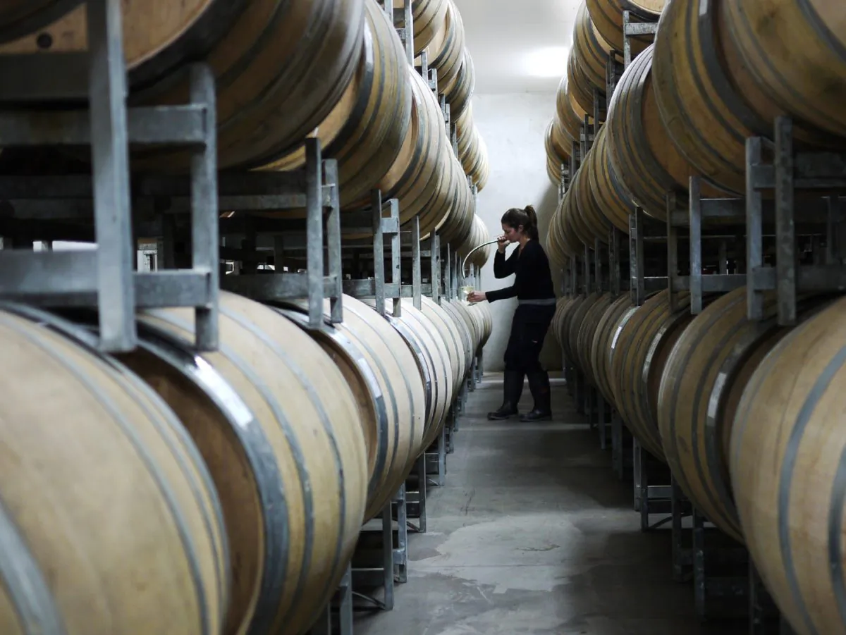 An undated photo of wine barrels in Australia. (Courtesy of Wine Australia)