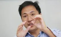 Rogue Chinese Scientist Made ‘Foolish’ Choice in Gene-Edited Babies: Experts
