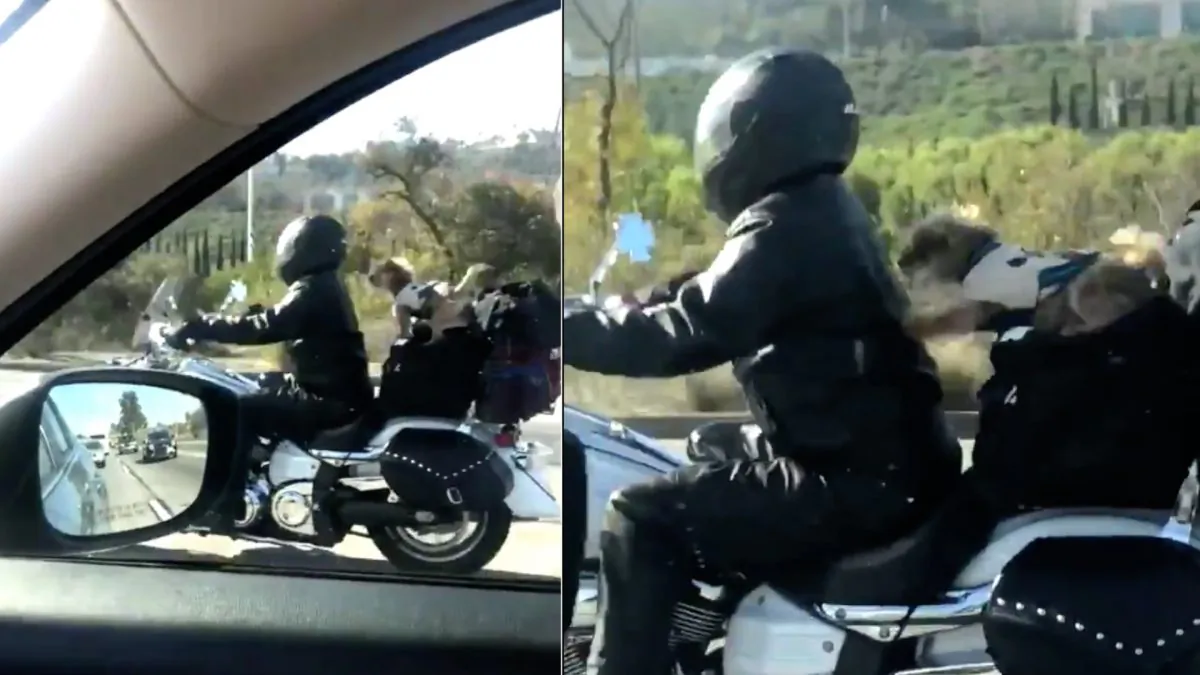 Riders on freeways were surprised watching dog bikers. Few recent posts on Twitter have gone viral. (brooke_harris18/Twitter)
