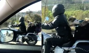 Biker Dog’s Daring Act Leaves People on Freeway Asking for More!