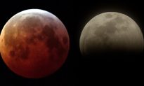 US Eclipse Watchers Howl at Blood Wolf Moon but Bitter Cold Cancels Other Festivities