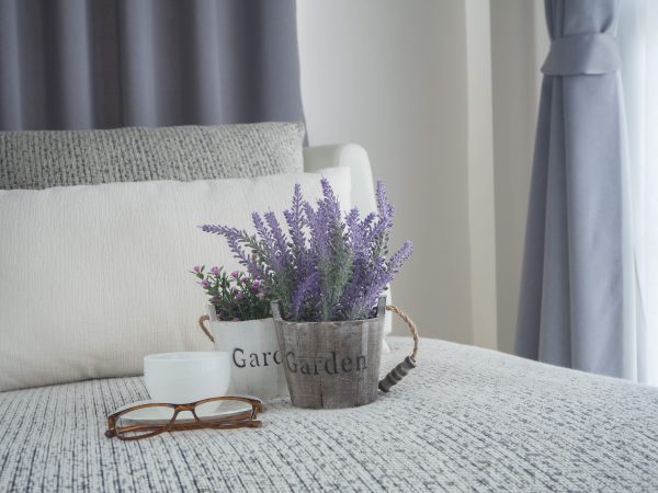 Lavender