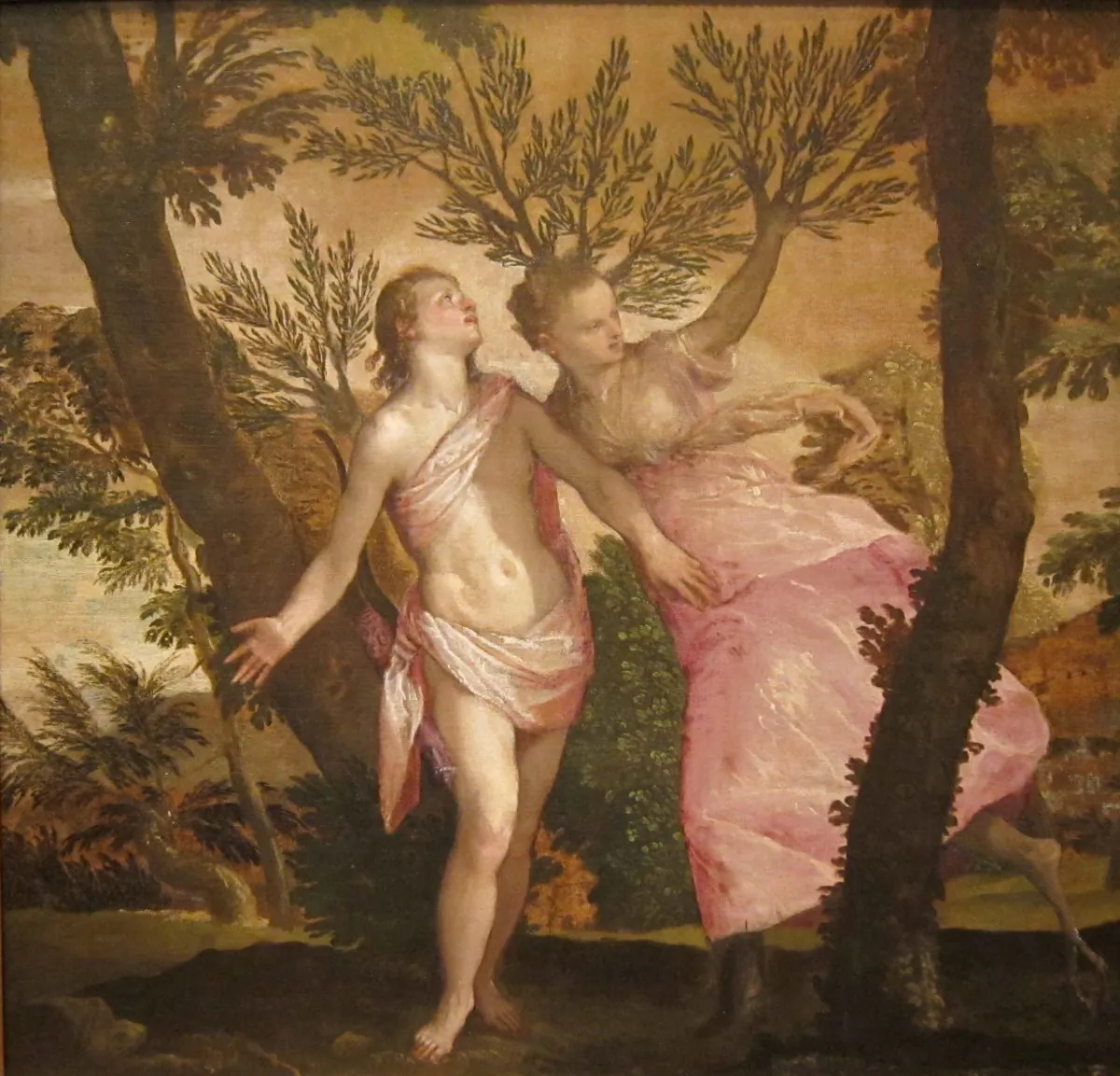 At the moment Daphne sends a prayer, she is transformed. “Apollo and Daphne,” between circa 1560 and circa 1565, by Paolo Veronese. San Diego Museum of Art. (Public Domain)