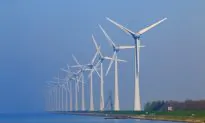 Renewable Energy Firms Must Contribute to Grid Backup: Mexico’s CFE Chief