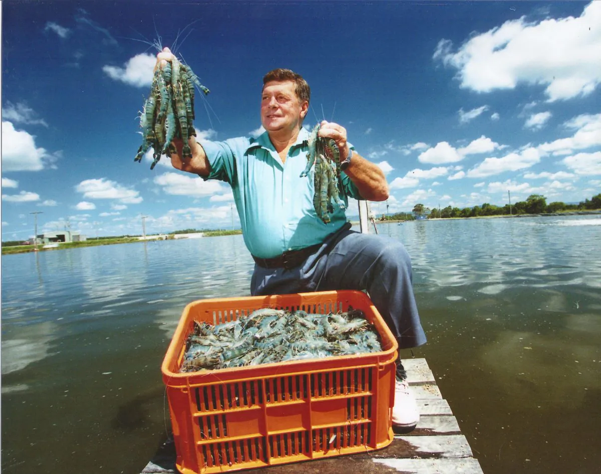 Gold Coast Marine Aquaculture founder Noel Herbst with his prawn farm product in Woongoolba, Queensland, Australia, in March 2015. (Courtesy of Australian Prawn Farmers Association)