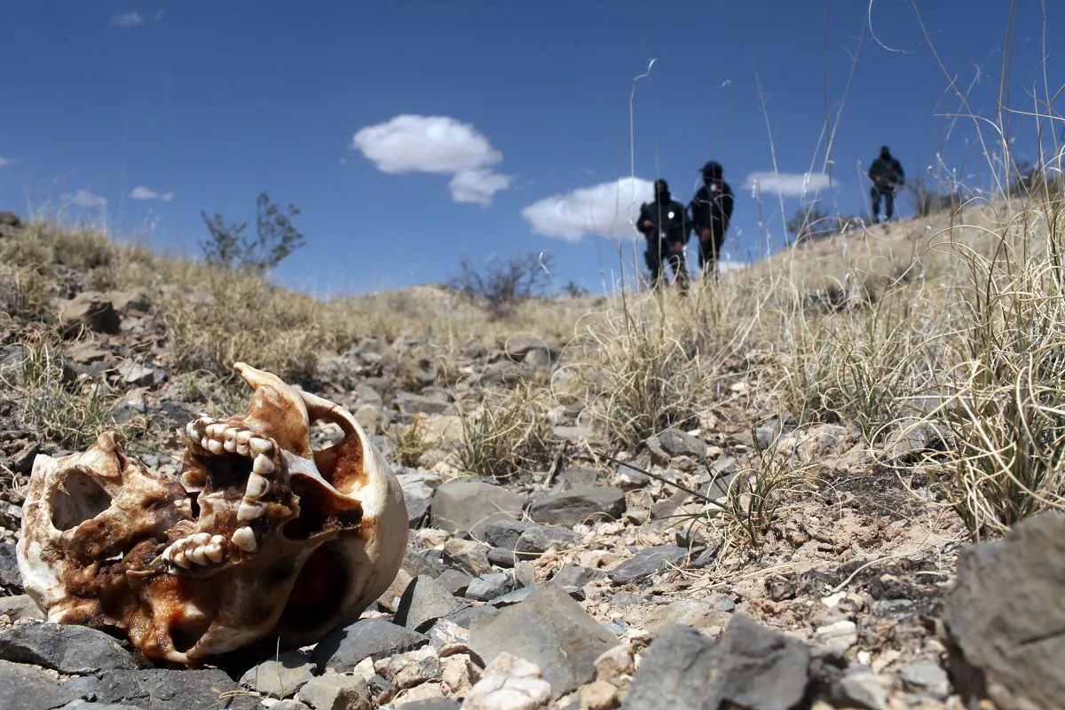 Mexican police stand near a skull discovered in a large grave in the desert of victims of recent drug violence in the county of Juarez, Mexico on March 19, 2010. (Spencer Platt/Getty Images)