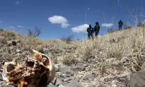 Mexico’s Murder Rate Jumps by a Third to Record-Breaking 33,341 in 2018