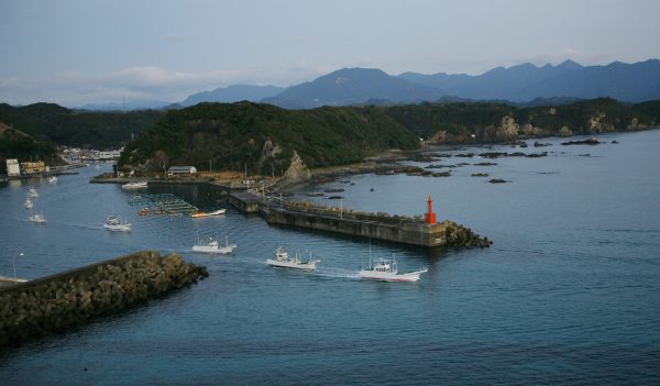 boats leave Taiji port