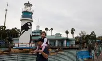 30-Year-Old SeaWorld Orca Dies at a Young Age: ‘Not Normal’