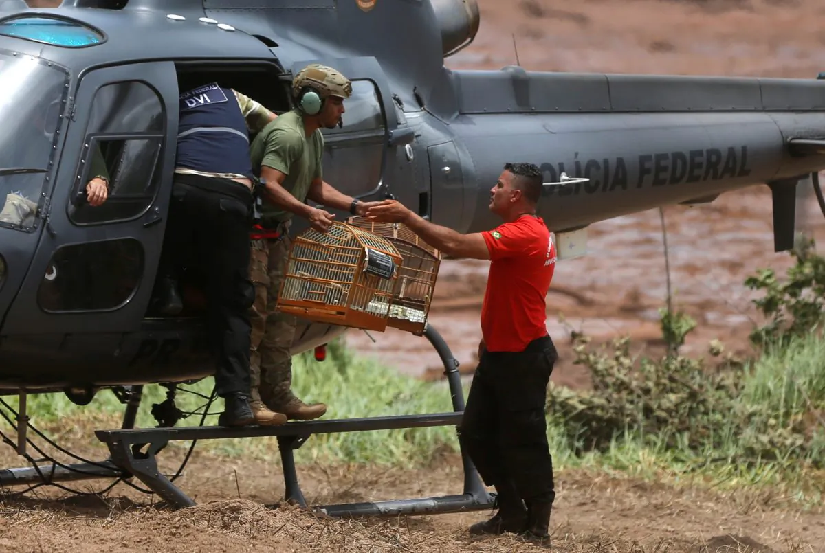 A firefighter carries rescued cages after a tailings dam from Brazilian miner Vale SA burst in Brumadinho, Brazil, on Jan. 27, 2019. (Adriano Machado/Reuters)