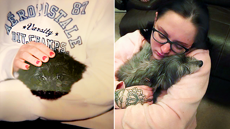 Woman adopts elderly dog from shelter and finds out it's actually her lost childhood puppy