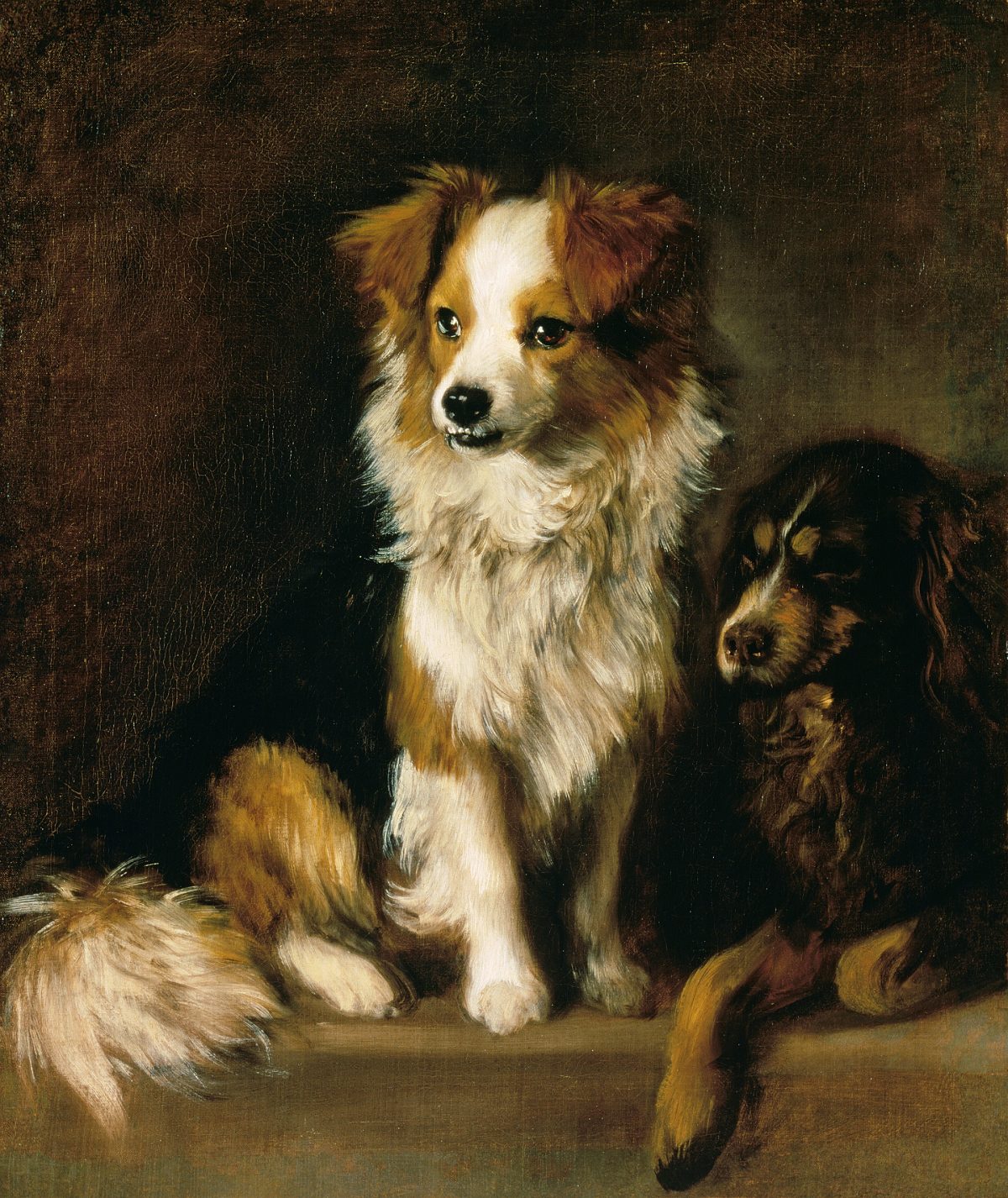 Two dogs