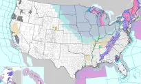 Polar Vortex Hits: Chicago Forecast to Be Colder Than Antarctica This Week