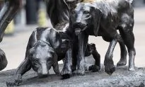 Incredibly Rare Puppy Is So Shiny That People Mistake Her for a Metal Statue