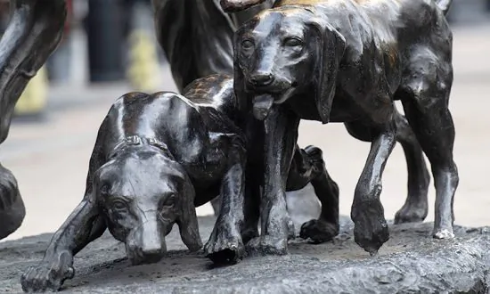 Incredibly Rare Puppy Is So Shiny That People Mistake Her for a Metal Statue
