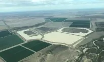Aussie Farms Accused of Not Sharing Water Despite Murray River Disaster
