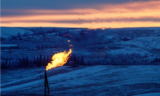 US Nat Gas Use Hits Record During Freeze; Utilities Urge Conservation