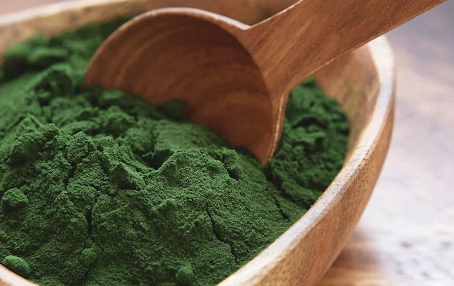 Chlorella powder (Sun Chlorella)
