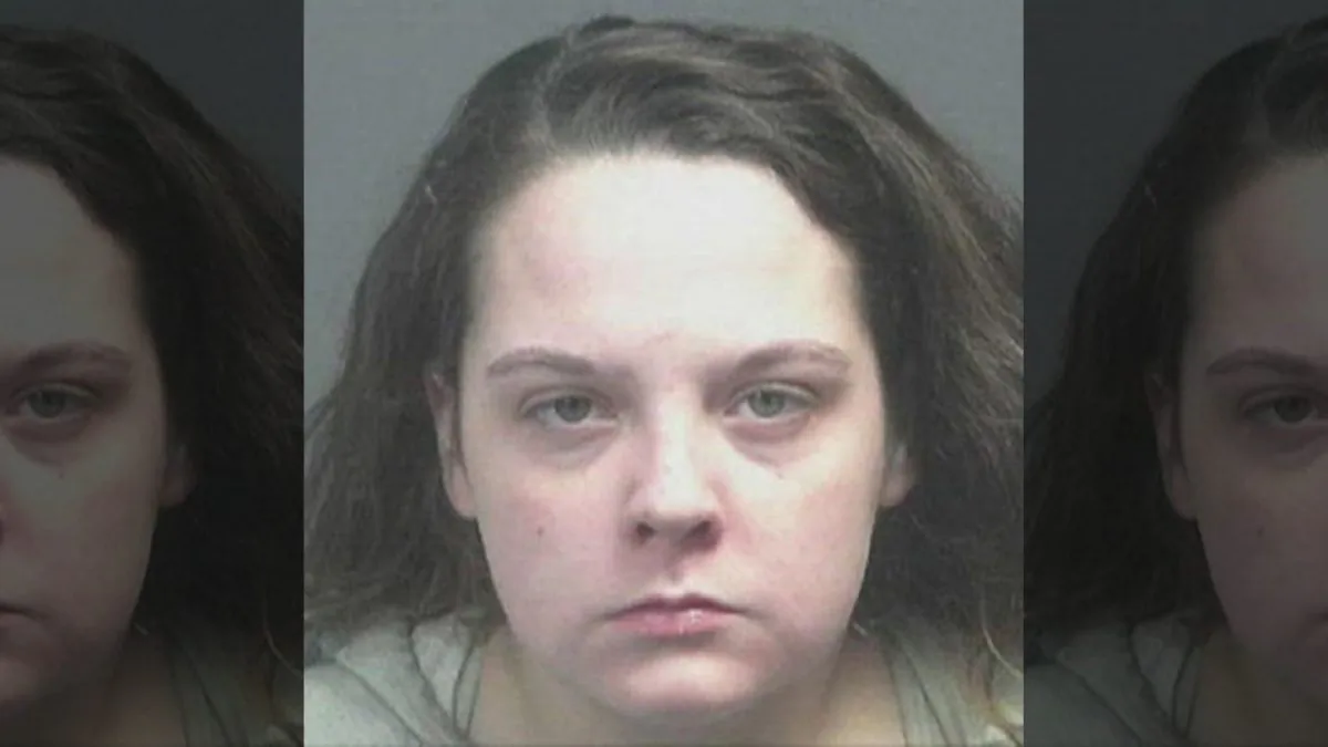 Julia Myers, 22, faces charges of more than 10 offenses, including driving while impaired, and was arrested Monday. (Blount County Sheriff's Office)