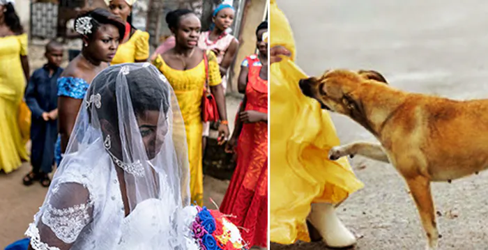 (L: Illustration - MARCO LONGARI/AFP via Getty Images, R: Illustration - Shchus/Shutterstock)