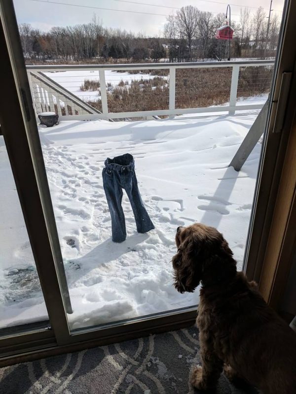 Fun in the snow in Minnesota
