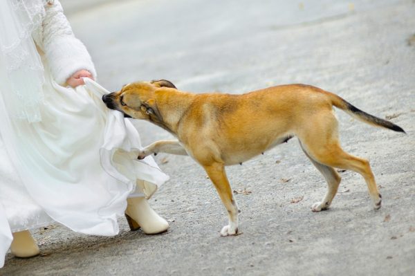 Epoch Times Photo