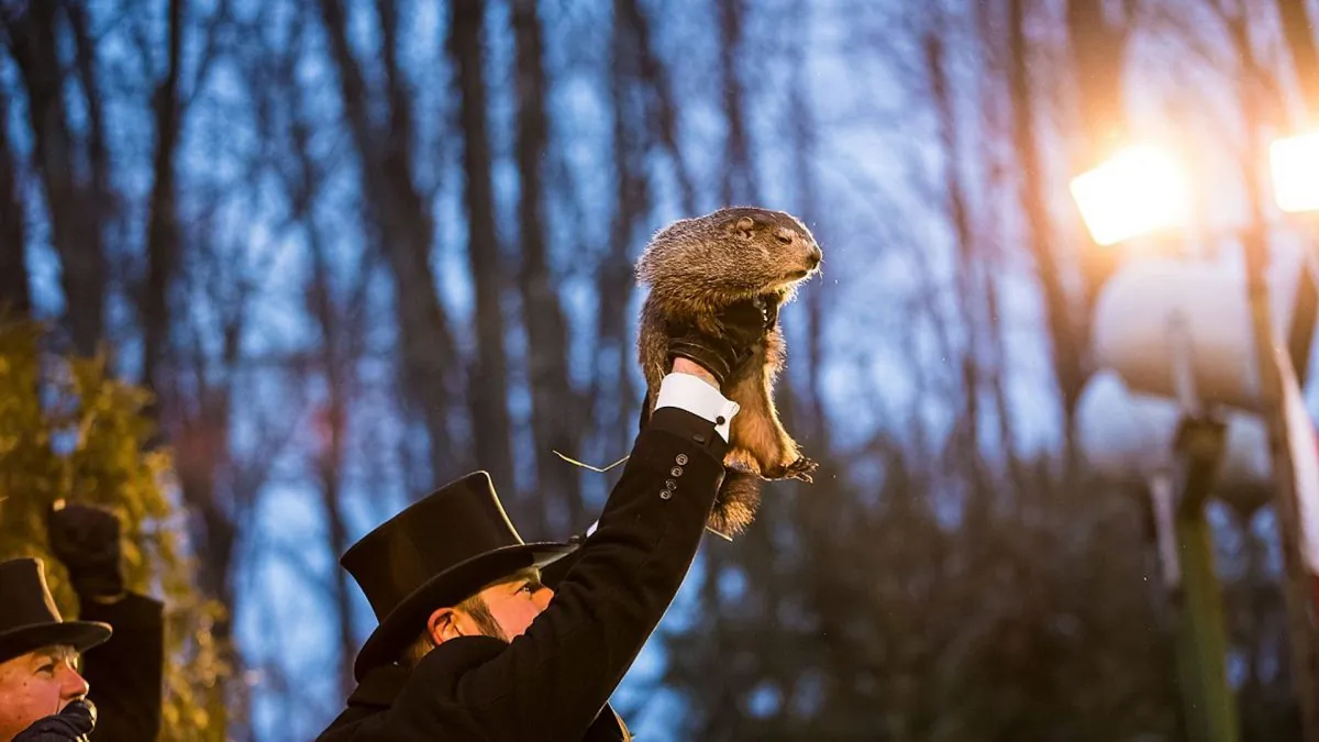 Thousands of people attended the Groundhog Day ceremonies on Saturday at the Gobbler's Knob in Punxsutawney, Pennsylvania. The famous groundhog predicted an early spring. (Chris Flook/CC-BY-SA 4.0)
