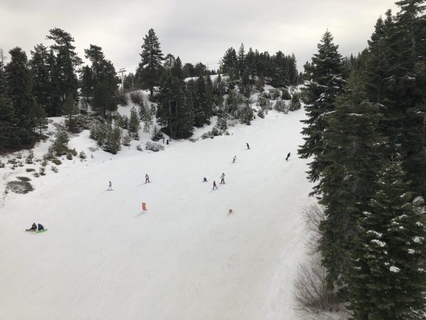 skiers 1