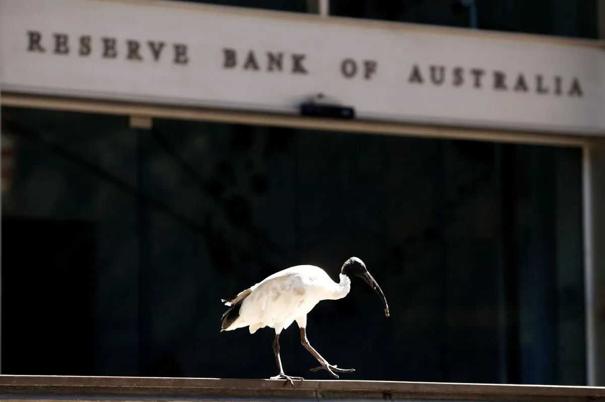 An ibis bird perches next to the Reserve Bank of Australia headquarters in central Sydney, Australia, on Feb. 6, 2018. (Daniel Munoz/Reuters)
