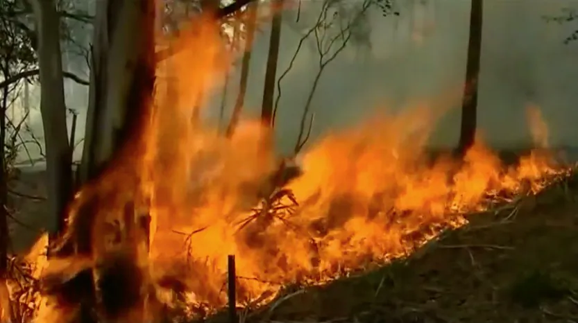 Bushfires in the Huon Valley in Tasmania, Australia on Jan. 30, 2019. (Reuters)