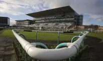 All Horse Races in UK Canceled After Equine Flu Outbreak