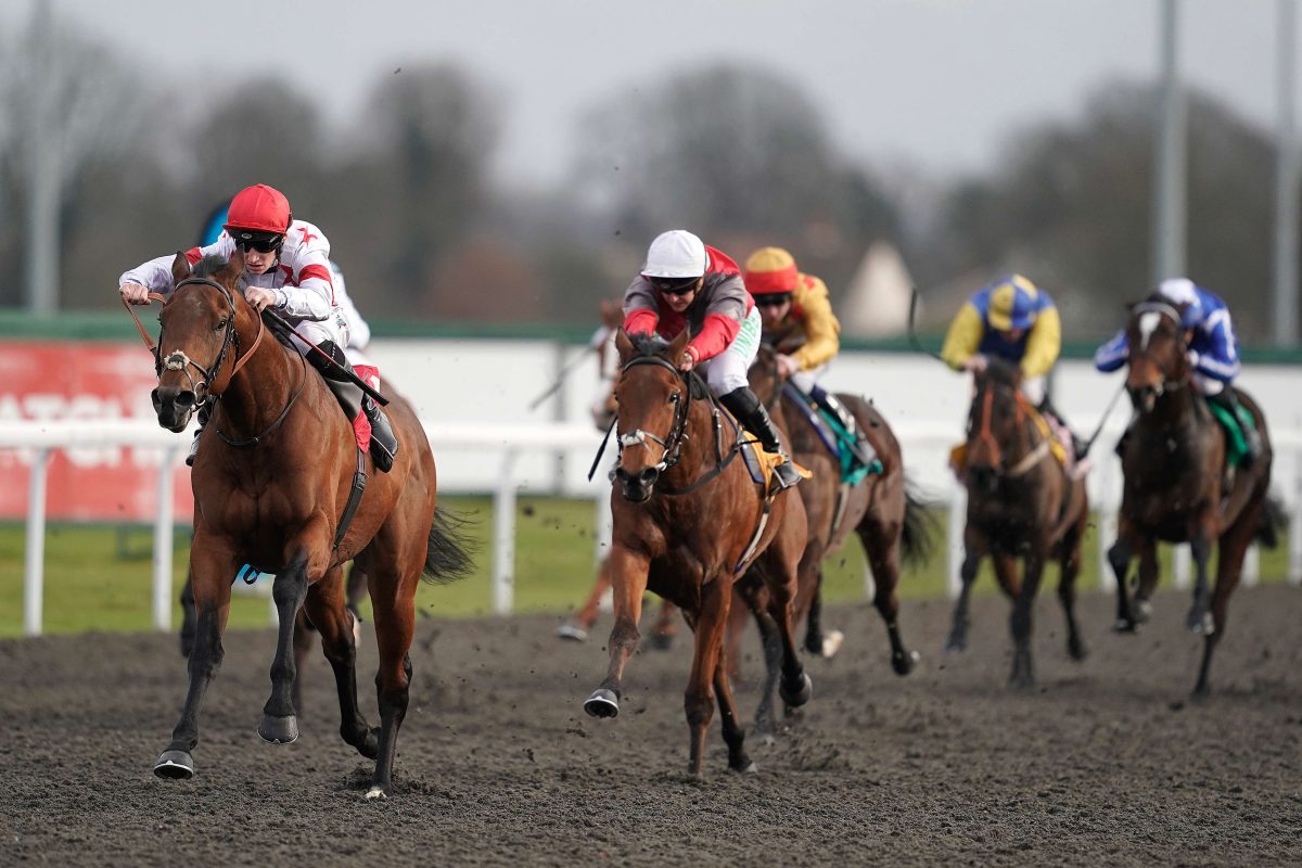 Horses race at Kempton Park Racecourse