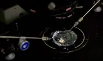 Stanford Probes Faculty Ties to China Gene-Edited Baby Work