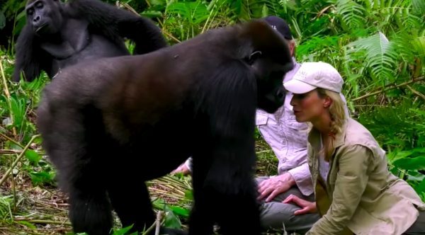 Epoch Times Photo